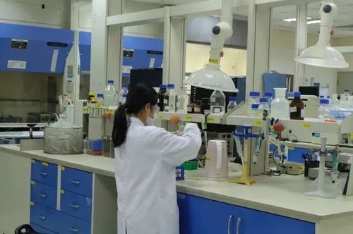 小奶罐萌力來(lái)襲 探秘多美滋上海工廠與技術(shù)交流之旅